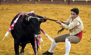 Un matador lors d’une corrida à Lisbonne au Portugal, le 10 août 2017.