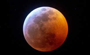 La Lune rouge prise depuis Miami, aux Etats-Unis en janvier 2019.