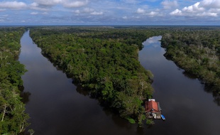 La forêt amazonienne s'étend sur 5 millions de km².
