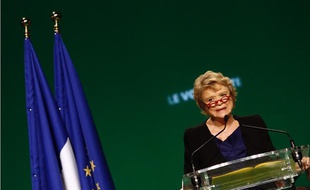 Eva Joly lors de son meeting de Roubaix, dans le Nord, le 11 février 2012.