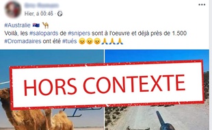 Les photos hors contexte de dromadaires qui circulent sur Facebook.