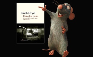 Ratatouille recommande très probablement Dans les murs, de Zineb Dryef (ed.Don Quichotte)