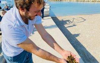 Marseille Pour la premi re fois la ville replante des graines