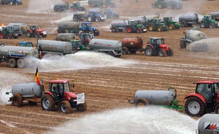 Des producteurs belges ont déversé 3 millions de lait dans un champ, à Ciney, mercredi 16 septembre.