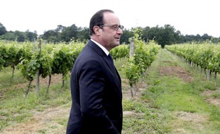 Le président français François Hollande visite le vignoble de Tutiac le 14 juin 2015 à Marcillac