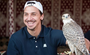 L'attaquant du PSG, Zlatan Ibrahimovic, lors d'un stage au Qatar et d'une chasse au faucon, le 31 décembre 2013 à Doha
