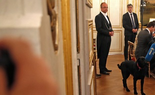 Emmanuel Macron a adopté ce week-end un labrador croisé de griffon, baptisé Nemo.