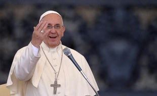 Le pape François au Vatican, le 14 juin 2015