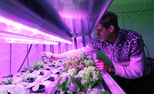 Fabien Persico a créé Urbanfarm, une société de fermes urbaines qui créé des potagers dans des containers.