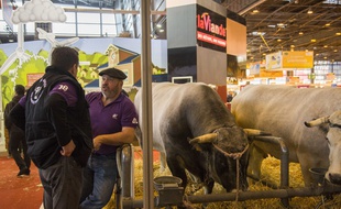 Un agriculteur au Salon de l'agriculture à Paris en 2016 (illustration).