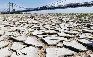 La Loire-Atlantique (ici, le pont suspendu d'Ancenis) fait partie des 42 départements concernés par les restrictions d'eau.