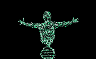 Illustration d'un individu et d'une spirale d'ADN