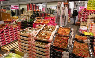 Le pavillon des fruits et legumes. Visite du Marche International de Rungis.