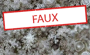Cette image ne montre pas de la neige vue au microscope, contrairement à ce qu'affirment de nombreux internautes.