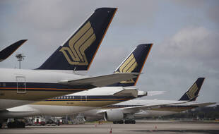 Des avions de la Singapore Airlines, illustration