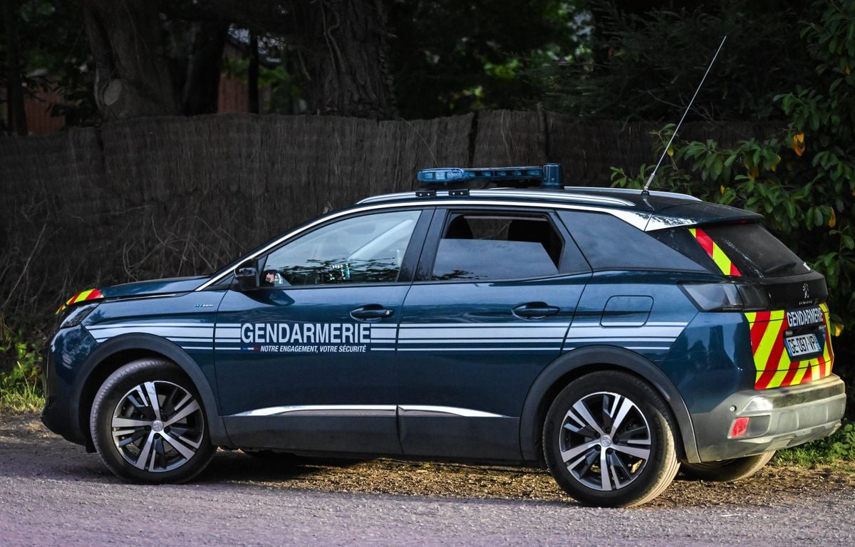 Nantes : Un conducteur percute un gendarme en prenant la fuite, son collègue ouvre le feu
