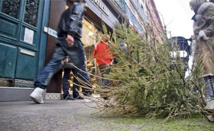 En centre-ville, les dépôts sauvages de sapins fleurissent déjà.