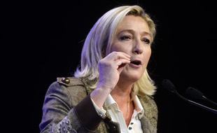 Marine Le Pen, la présidente du Front National, le 17 novembre 2013 à Paris.