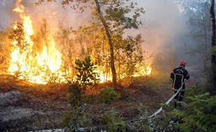 Un pompier contre les flammes dans la forêt landaise près de Lacanau en Gironde, le 3 juillet 2011.
