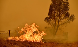 Un incendie dans la ville de Bumbalong, au sud de Canberra, au début du mois de février.