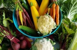 Comment conserver les légumes pour éviter qu'ils pourrissent ?