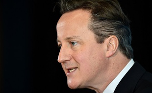 David Cameron lors d'un discours à Hove, le 17 février 2015.