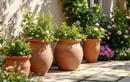 Cet été, agrandissez visuellement votre jardin : la méthode couleurs infaillible à tester sans attendre