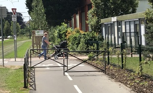 Le passage piéton situé devant l'école Adler à la Robertsau, à Strasbourg.