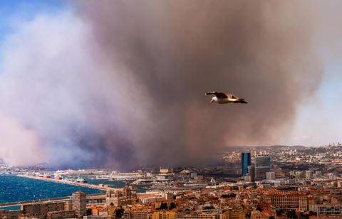 Il attaque les pompiers car ils ont pris l’eau de sa piscine à Marseille ? C’est faux
