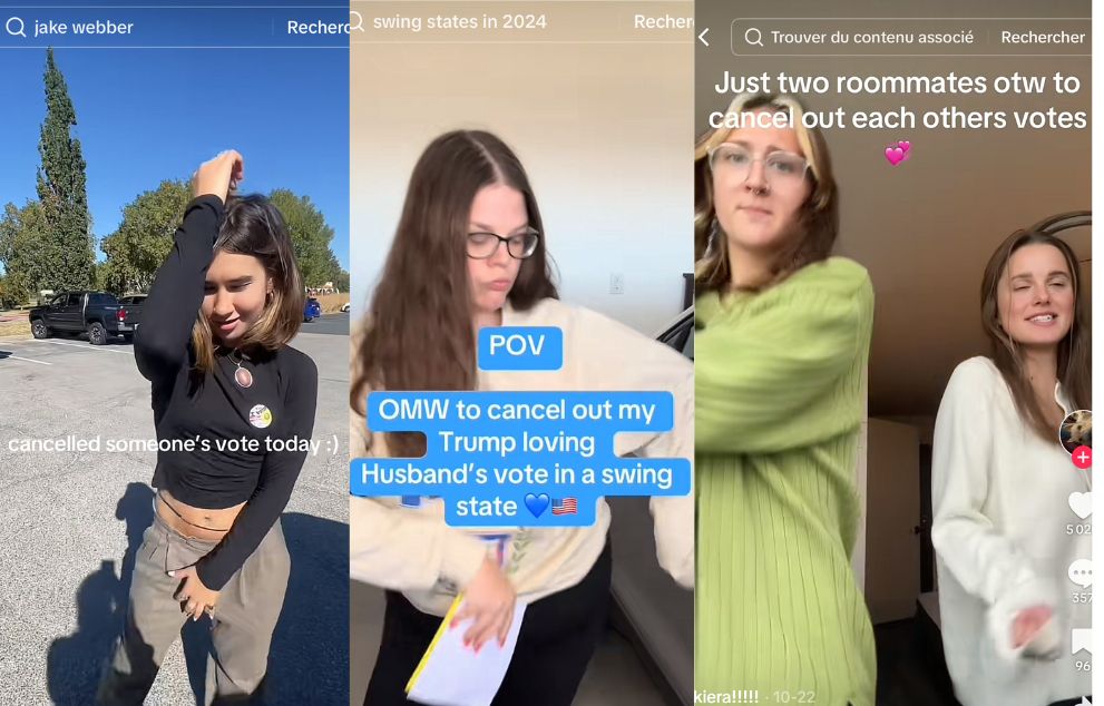 « Papa, ton vote ne comptera pas » : sur Tiktok, la Gen Z se mobilise pour « annuler » le v image