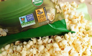 Accusée d'avoir dégagé la voie à la mise en culture d'un nouvel OGM, la Commission européenne renvoie la balle aux Etats et soutient qu'ils pourraient se doter des moyens pour bannir les plantes transgéniques chez eux.
