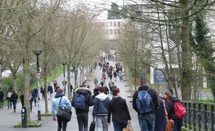 Le campus du Tertre de l'université de Nantes.