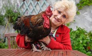 Maurice le coq et sa propriétaire, Corinne Fesseau.