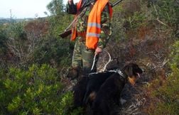 Onze morts au cours de la saison de chasse, les accidents à la hausse