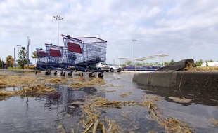 Illustration d'un parking de supermarché saccagé par des agriculteurs à Rennes en juillet 2015.