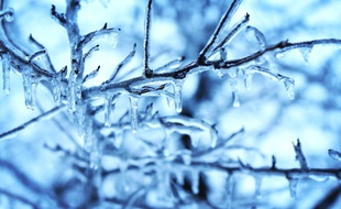 La France va connaître une semaine glaciale.