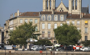 Illustration Bordeaux, arbres au niveau des quais
