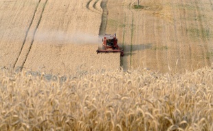 Les deux tiers de l'empreinte écologique d'un Français provient de son alimentation, des dépenses d'énergie de son logement et de ses déplacements (Photo illustration).