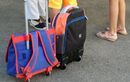 Un enfant de 7 ans visé par trois plaintes pour harcèlement scolaire