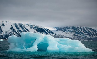 L'année 2011 est la plus chaude enregistrée dans l'Arctique depuis 50 ans, a indiqué mardi le directeur adjoint de l'Institut russe de recherche scientifique pour l'Arctique et l'Antarctique, Alexandre Danilov, cité par l'agence Interfax.