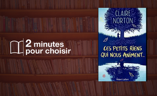 Ces petits riens qui nous animent...