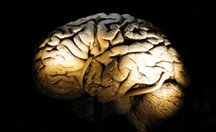 Des neurologues américains ont montré qu'il est possible de doper la mémoire en stimulant une zone particulière du cerveau, selon une petite étude dont les résultats paraissent le 9 février dans le New England Journal of Medicine (NEJM).