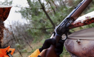 Un fusil de chasse