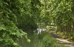 Un corps avec des traces de violences découvert dans le canal du Midi