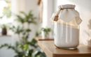 Vous n’avez pas besoin d’acheter un déshumidificateur : cette astuce maison suffit largement !