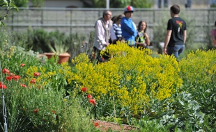 Jardin dans le quartier de Borderouge.