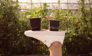 La marque Supergreen produit des chaussures vegan, fabriquées à partir de matières végétales.