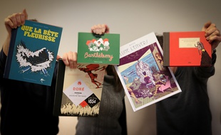 Les cinq albums strasbourgeois présents au festival international de la BD d'Angoulême 2015. - Strasbourg, le 28 janvier 2015.