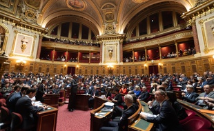 Le Sénat (illustration).