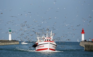 Un bateau de pêcheurs (image d'illustration).